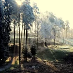 Early morning golfing